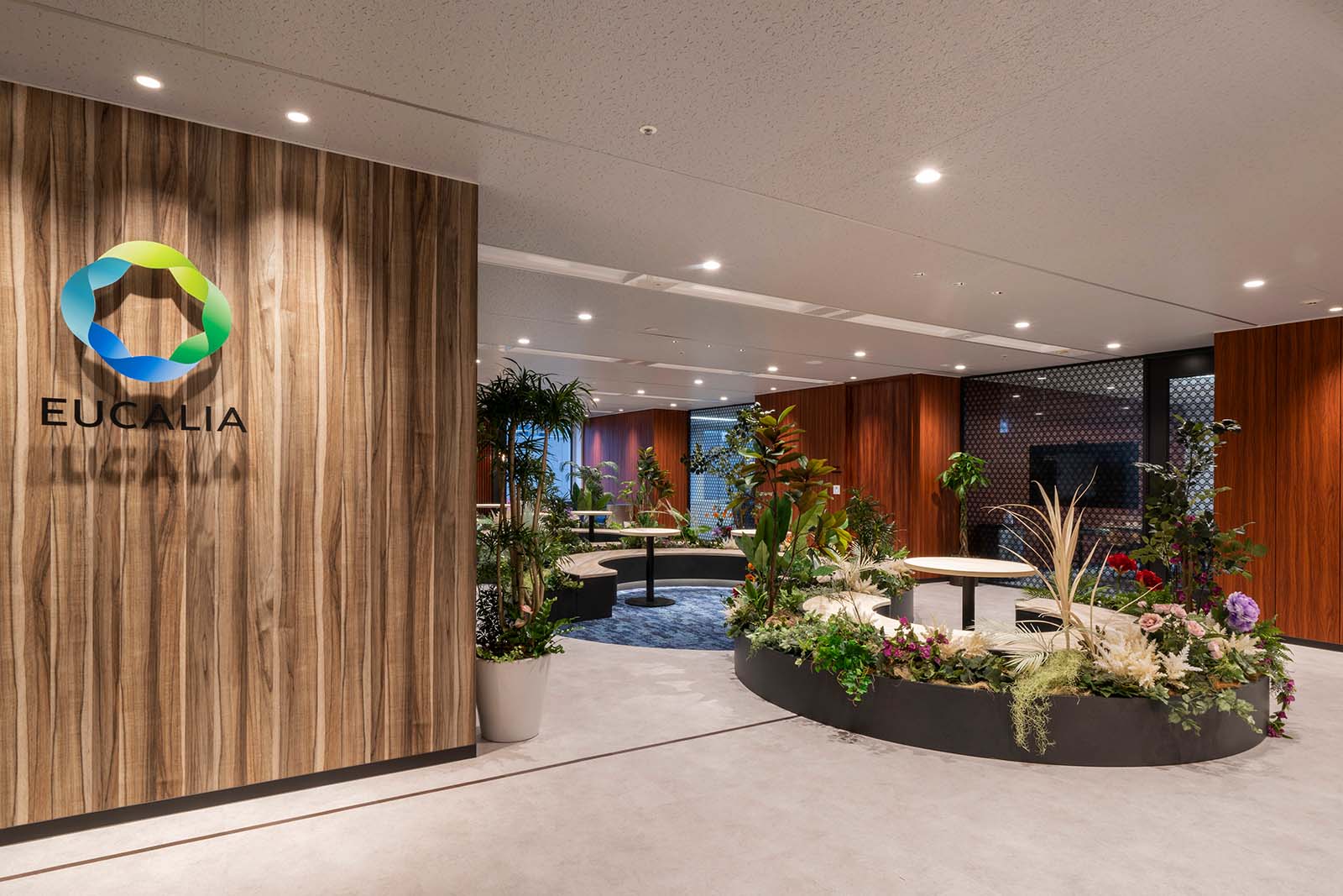office_eucalia